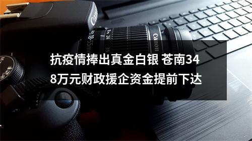 抗疫情捧出真金白银 苍南348万元财政援企资金提前下达