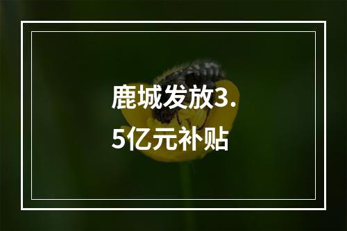 鹿城发放3.5亿元补贴