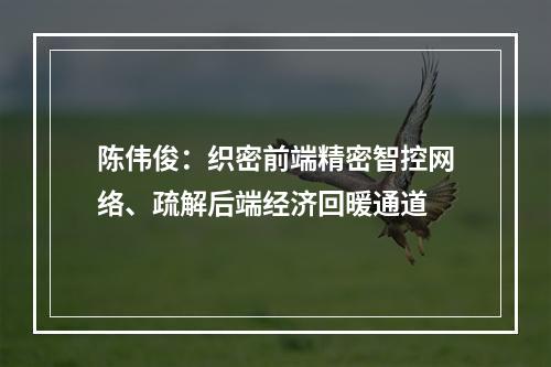 陈伟俊：织密前端精密智控网络、疏解后端经济回暖通道