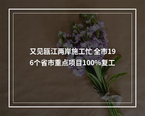 又见瓯江两岸施工忙 全市196个省市重点项目100%复工