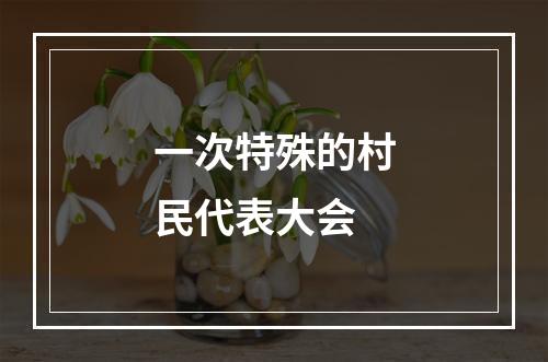 一次特殊的村民代表大会