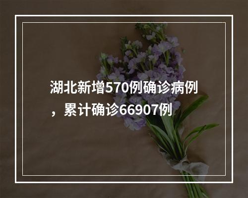 湖北新增570例确诊病例，累计确诊66907例