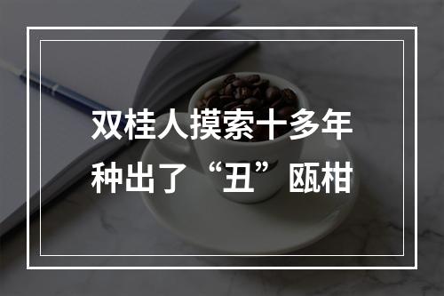 双桂人摸索十多年种出了“丑”瓯柑