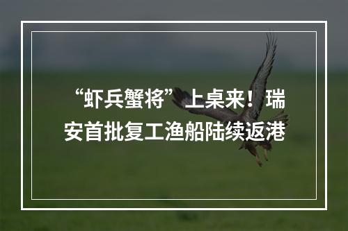 “虾兵蟹将”上桌来！瑞安首批复工渔船陆续返港