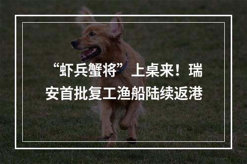 “虾兵蟹将”上桌来！瑞安首批复工渔船陆续返港