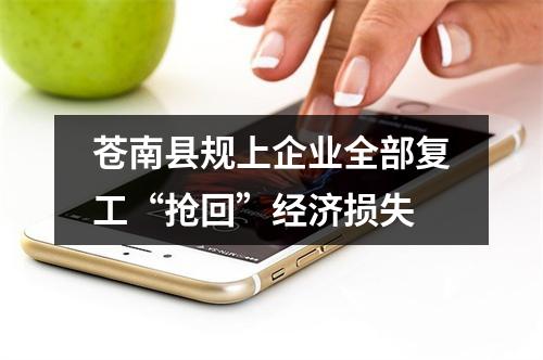 苍南县规上企业全部复工“抢回”经济损失