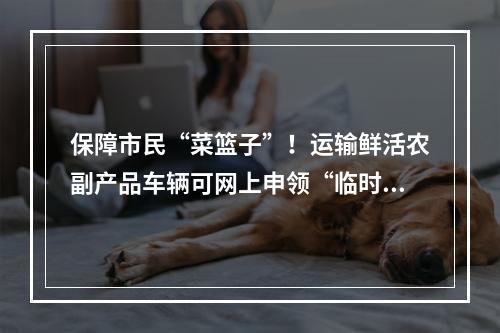 保障市民“菜篮子”！运输鲜活农副产品车辆可网上申领“临时通行证”！