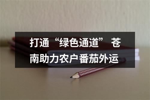 打通“绿色通道” 苍南助力农户番茄外运