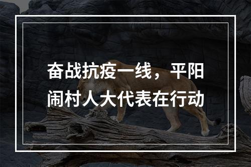 奋战抗疫一线，平阳闹村人大代表在行动