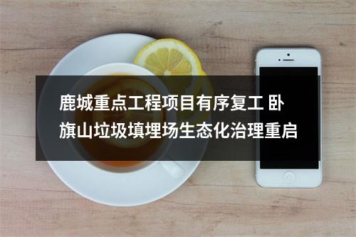 鹿城重点工程项目有序复工 卧旗山垃圾填埋场生态化治理重启
