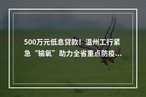 500万元低息贷款！温州工行紧急“输氧”助力全省重点防疫企业复工复产