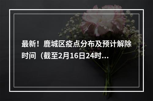 最新！鹿城区疫点分布及预计解除时间（截至2月16日24时）