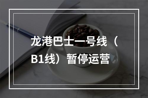 龙港巴士一号线（B1线）暂停运营