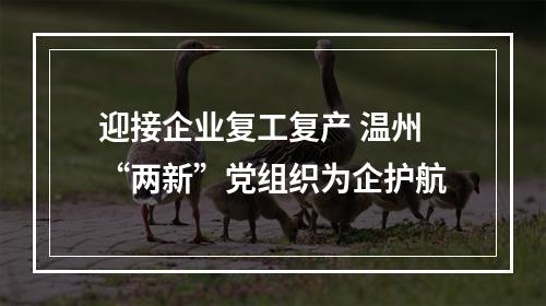 迎接企业复工复产 温州“两新”党组织为企护航