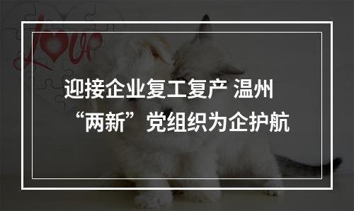 迎接企业复工复产 温州“两新”党组织为企护航