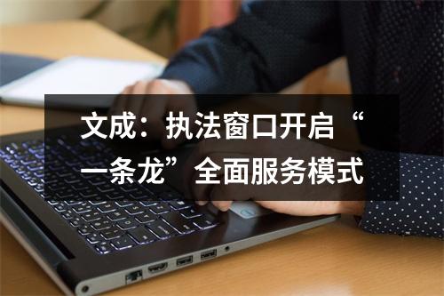 文成：执法窗口开启“一条龙”全面服务模式