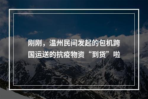 刚刚，温州民间发起的包机跨国运送的抗疫物资“到货”啦