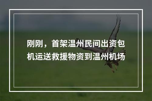 刚刚，首架温州民间出资包机运送救援物资到温州机场