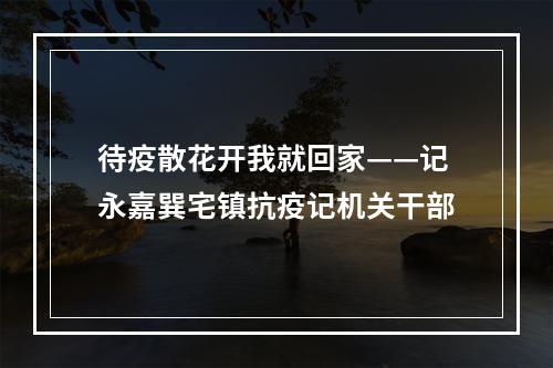 待疫散花开我就回家——记永嘉巽宅镇抗疫记机关干部