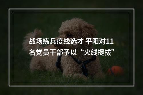 战场练兵疫线选才 平阳对11名党员干部予以“火线提拔”