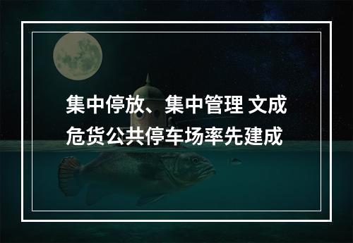 集中停放、集中管理 文成危货公共停车场率先建成