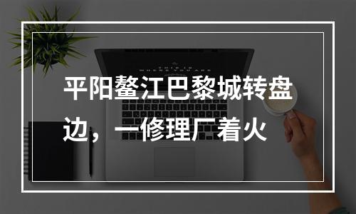 平阳鳌江巴黎城转盘边，一修理厂着火