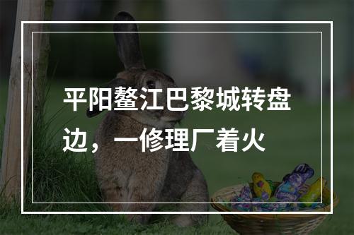 平阳鳌江巴黎城转盘边，一修理厂着火