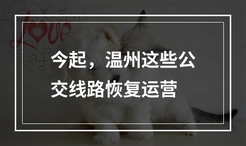 今起，温州这些公交线路恢复运营