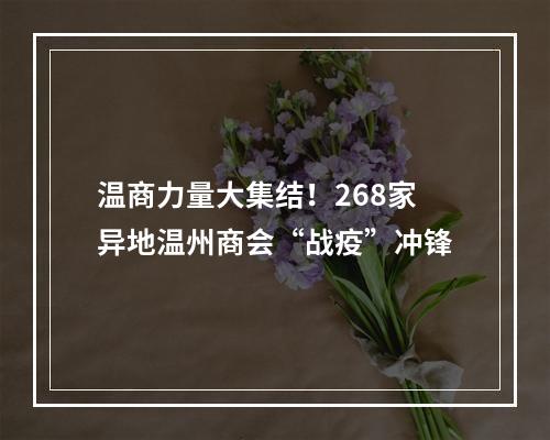 温商力量大集结！268家异地温州商会“战疫”冲锋