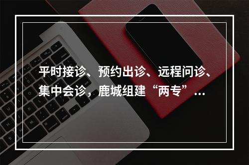 平时接诊、预约出诊、远程问诊、集中会诊，鹿城组建“两专”服务团