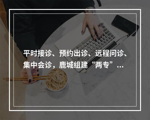 平时接诊、预约出诊、远程问诊、集中会诊，鹿城组建“两专”服务团