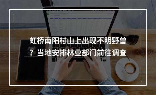 虹桥南阳村山上出现不明野兽？当地安排林业部门前往调查