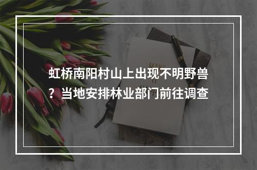 虹桥南阳村山上出现不明野兽？当地安排林业部门前往调查