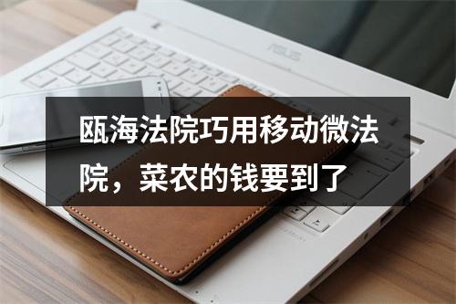 瓯海法院巧用移动微法院，菜农的钱要到了