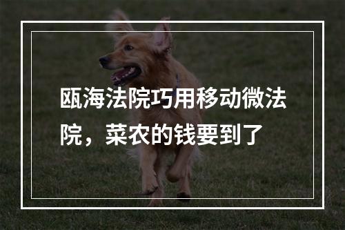 瓯海法院巧用移动微法院，菜农的钱要到了