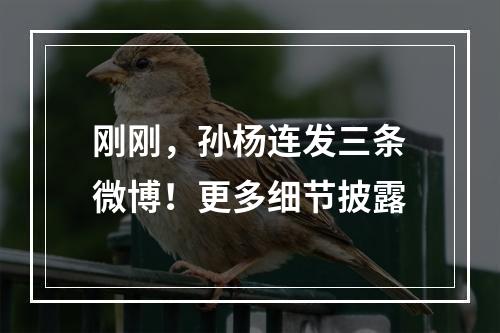 刚刚，孙杨连发三条微博！更多细节披露