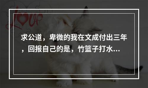 求公道，卑微的我在文成付出三年，回报自己的是，竹篮子打水一场空…