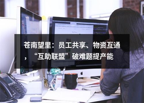 苍南望里：员工共享、物资互通，“互助联盟”破难题提产能