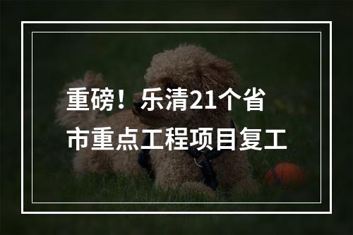 重磅！乐清21个省市重点工程项目复工