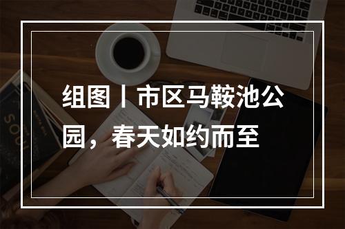 组图丨市区马鞍池公园，春天如约而至