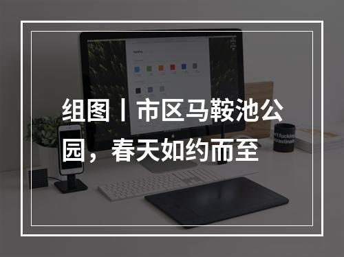 组图丨市区马鞍池公园，春天如约而至