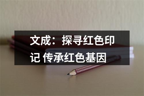 文成：探寻红色印记 传承红色基因