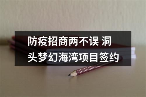 防疫招商两不误 洞头梦幻海湾项目签约