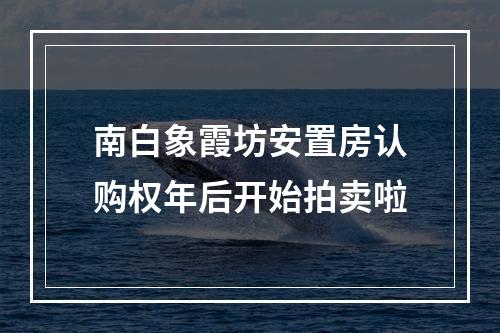 南白象霞坊安置房认购权年后开始拍卖啦