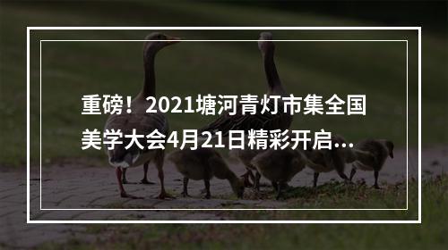 重磅！2021塘河青灯市集全国美学大会4月21日精彩开启，亮点纷呈