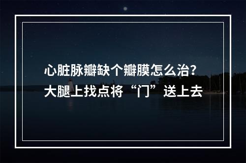 心脏脉瓣缺个瓣膜怎么治？大腿上找点将“门”送上去