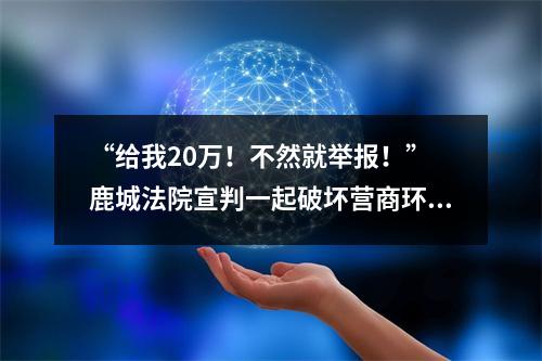 “给我20万！不然就举报！” 鹿城法院宣判一起破坏营商环境案 三被告人获刑