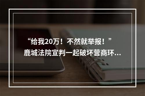 “给我20万！不然就举报！” 鹿城法院宣判一起破坏营商环境案 三被告人获刑