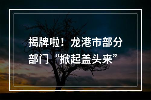 揭牌啦！龙港市部分部门“掀起盖头来”
