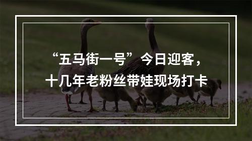 “五马街一号”今日迎客，十几年老粉丝带娃现场打卡